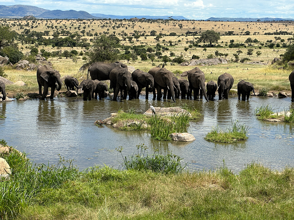 Africa Brightly coloured courtyard with table and chairs