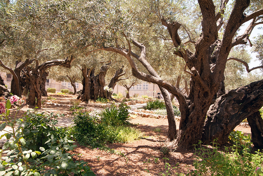 gethsemane