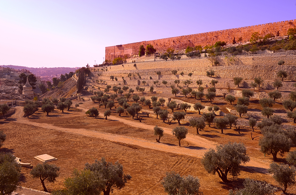jerusalem-walls-sunrise
