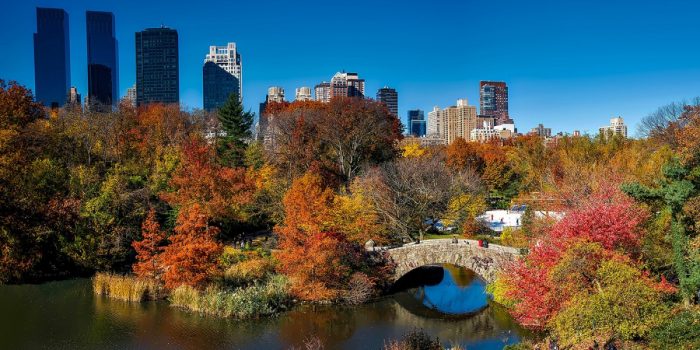 Central Park-Autumn