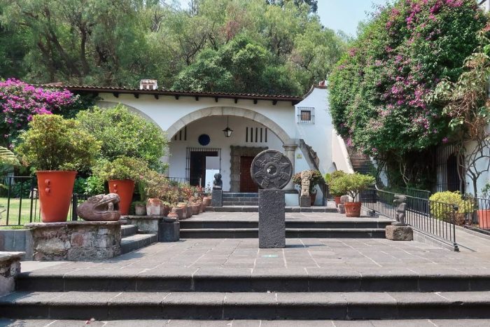 Dolores Olmedo Museum Gardens 