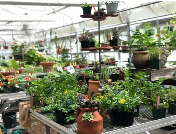 Greenwich Botanical Center Greenhouse